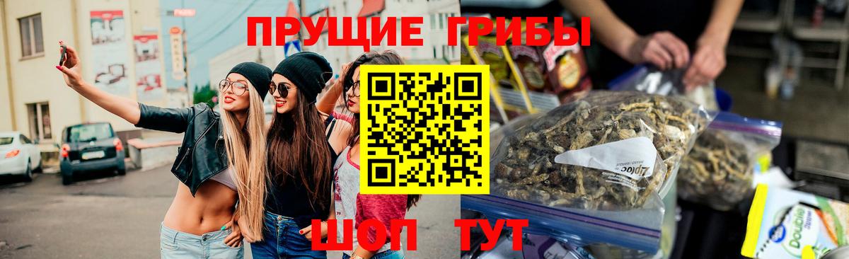 Псилоцибиновые грибы Psilocybe Вольск